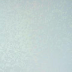 0406 - SHARDS 0406 - SHARDS