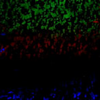 0421 - Crystal 0421 - Crystal
