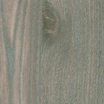 0675 - Root 0675 - Root