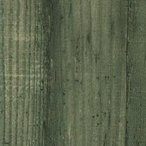 0677 - Root 0677 - Root