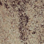 0921 0921