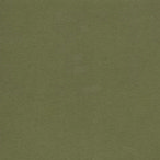 1921 1921
