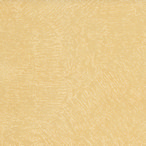 2593 - Шафран LUCIDA 2593 - Шафран LUCIDA