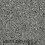 9901 -CL 9901 -CL