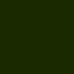 RAL 6007 RAL 6007