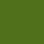 RAL 6010 RAL 6010
