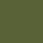RAL 6013 RAL 6013