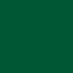 RAL 6016 RAL 6016