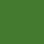 RAL 6017 RAL 6017
