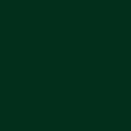 RAL 6028 RAL 6028