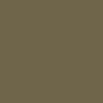 RAL 7002 RAL 7002