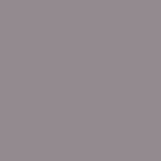 RAL 7004 RAL 7004