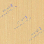 Анегри 1H51V.1 Анегри 1H51V.1