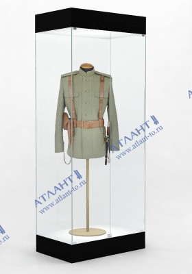 Музейная витрина В.М-2