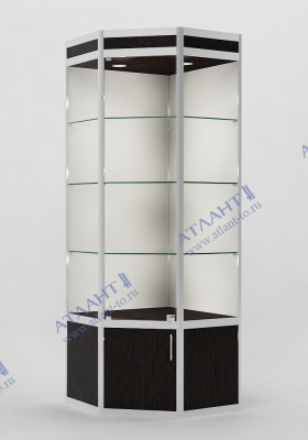 Алюминиевая витрина ВА3-2